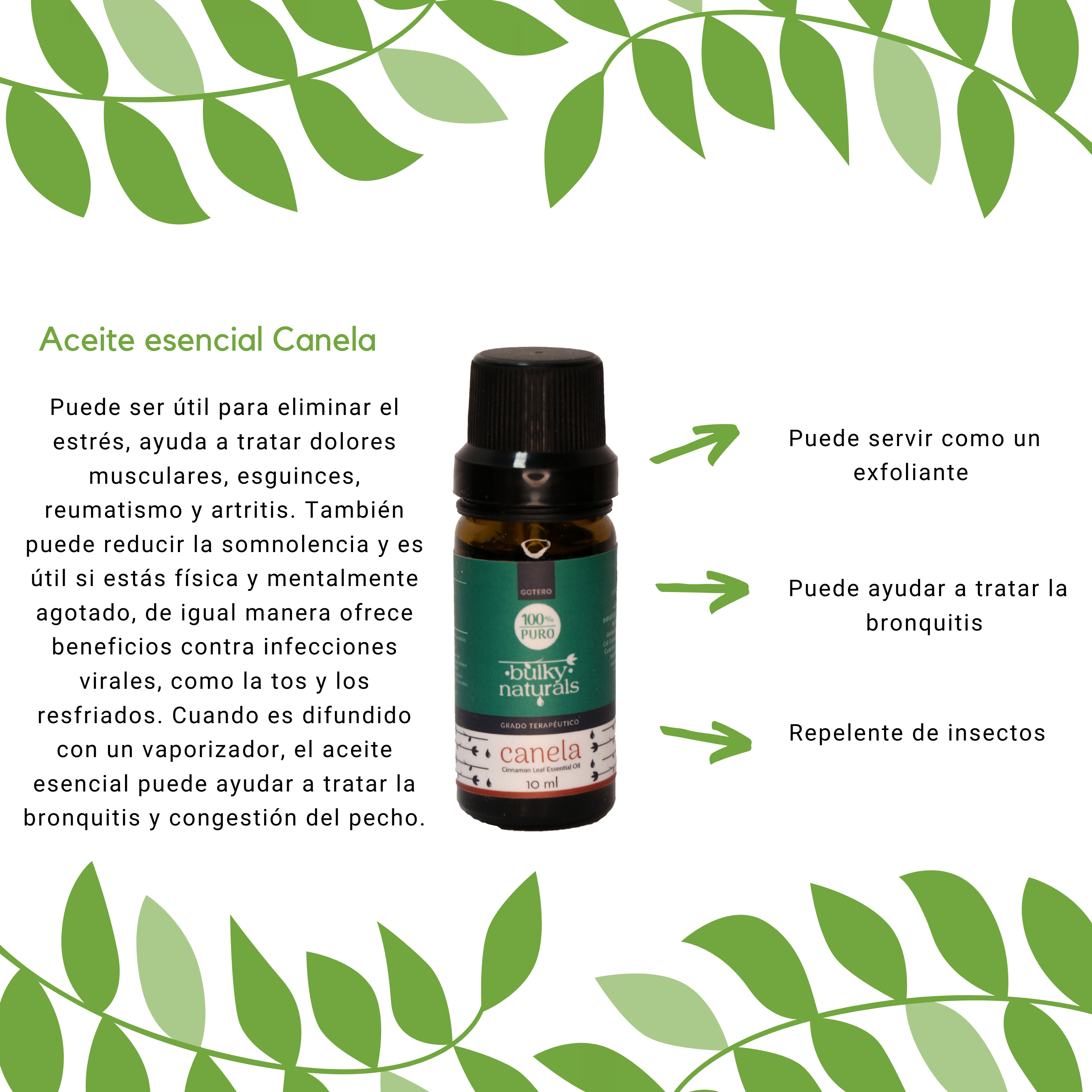 Aceite Esencial de Canela 10ml - Imagen 2